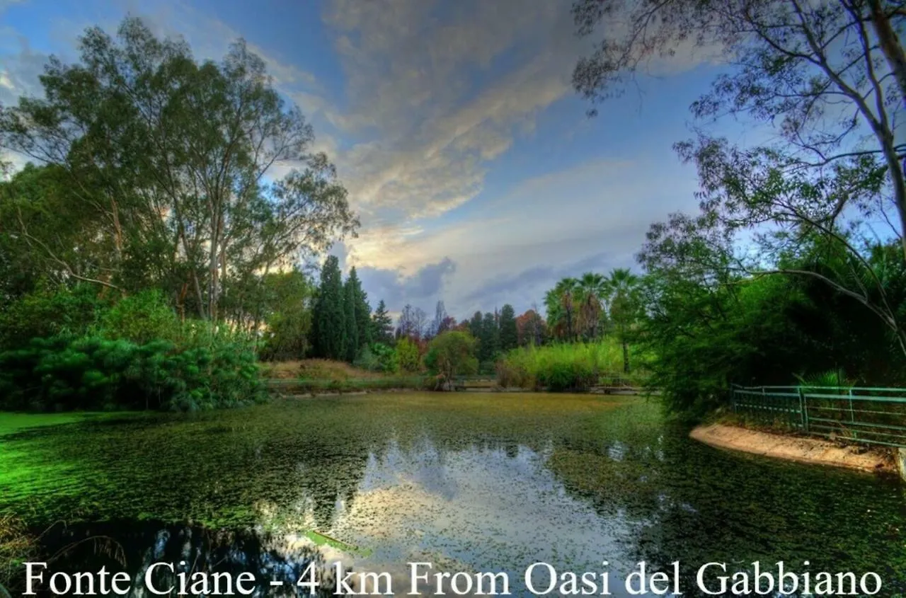 Oasi Del Gabbiano Bed and Breakfast Syracuse